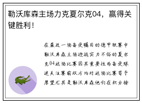 勒沃库森主场力克夏尔克04，赢得关键胜利！